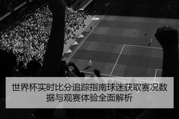 世界杯实时比分追踪指南球迷获取赛况数据与观赛体验全面解析