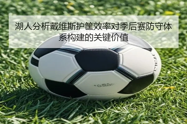 湖人分析戴维斯护筐效率对季后赛防守体系构建的关键价值
